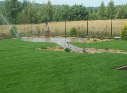 Zielony ogród z ścieżką i stawem.